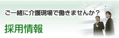 採用情報