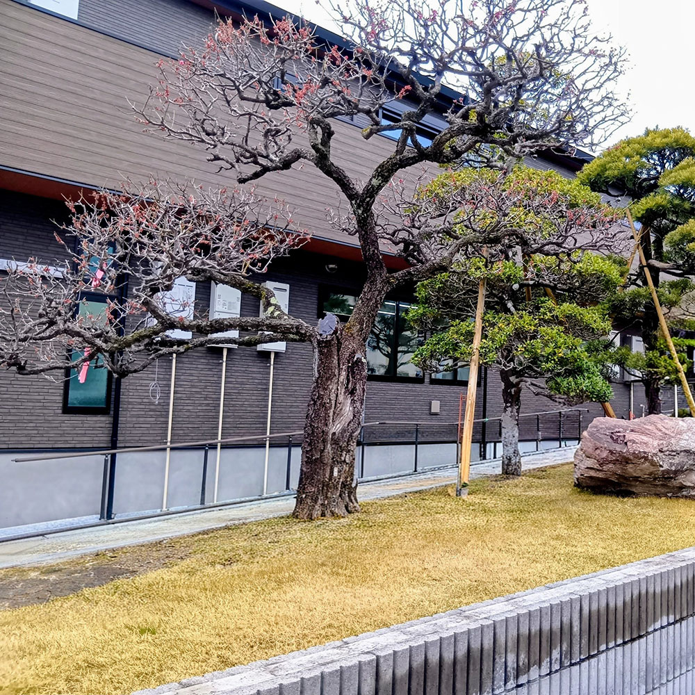 グループホーム ここから